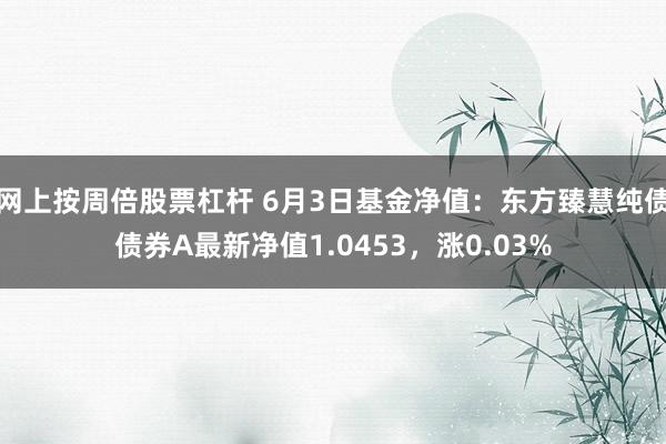 网上按周倍股票杠杆 6月3日基金净值：东方臻慧纯债债券A最新净值1.0453，涨0.03%