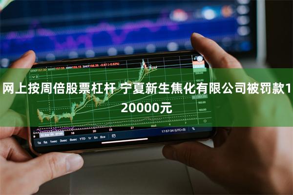 网上按周倍股票杠杆 宁夏新生焦化有限公司被罚款120000元