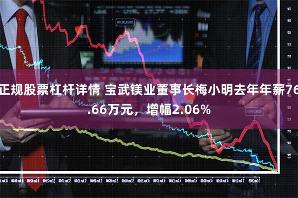 正规股票杠杆详情 宝武镁业董事长梅小明去年年薪76.66万元，增幅2.06%