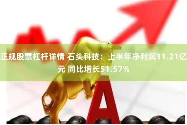 正规股票杠杆详情 石头科技：上半年净利润11.21亿元 同比增长51.57%