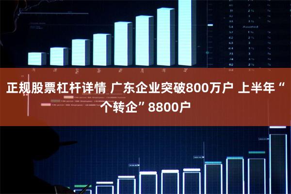 正规股票杠杆详情 广东企业突破800万户 上半年“个转企”8800户